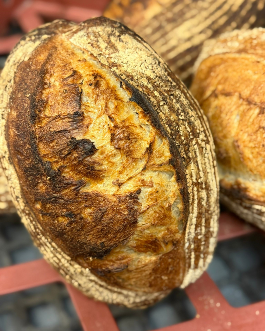 Large sourdough loaf with open crumb and golden crust from Krumb Bakery Belfast