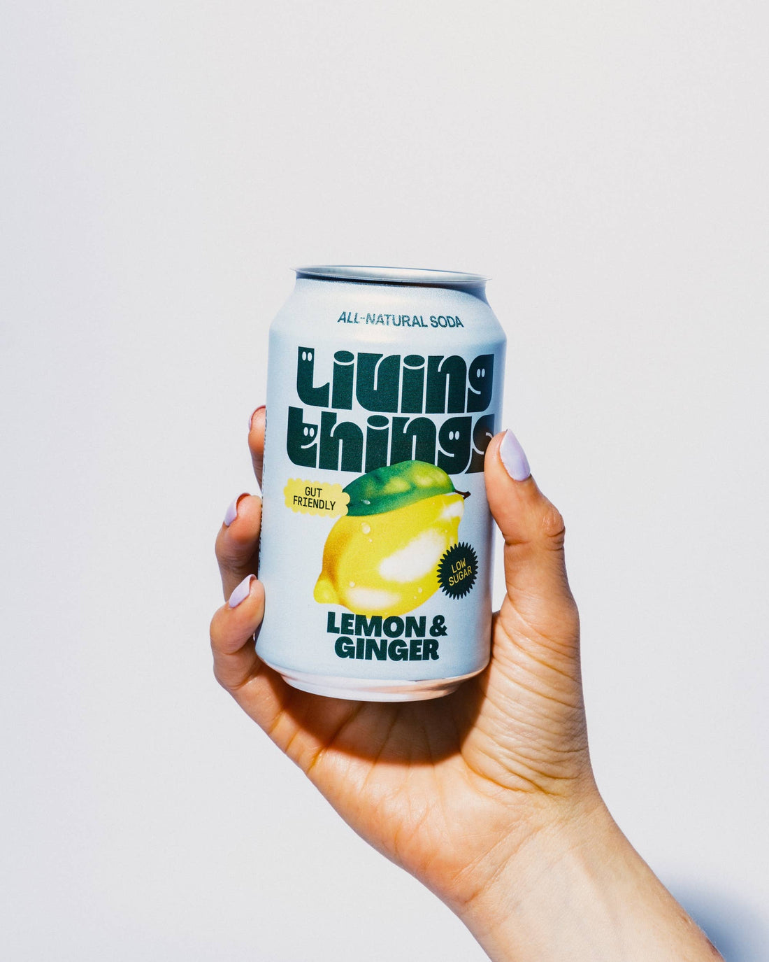 Living Things prebiotic sodas available at Krumb vegan bakery Belfast