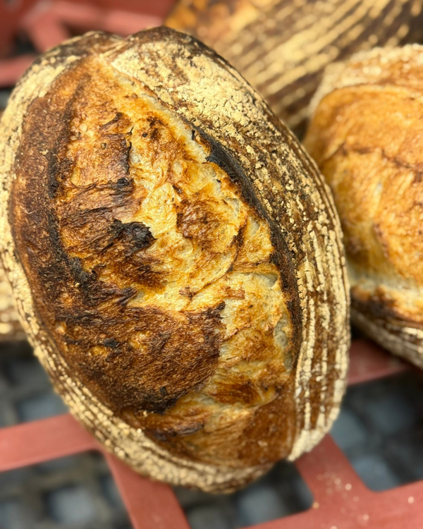 Large Sourdough