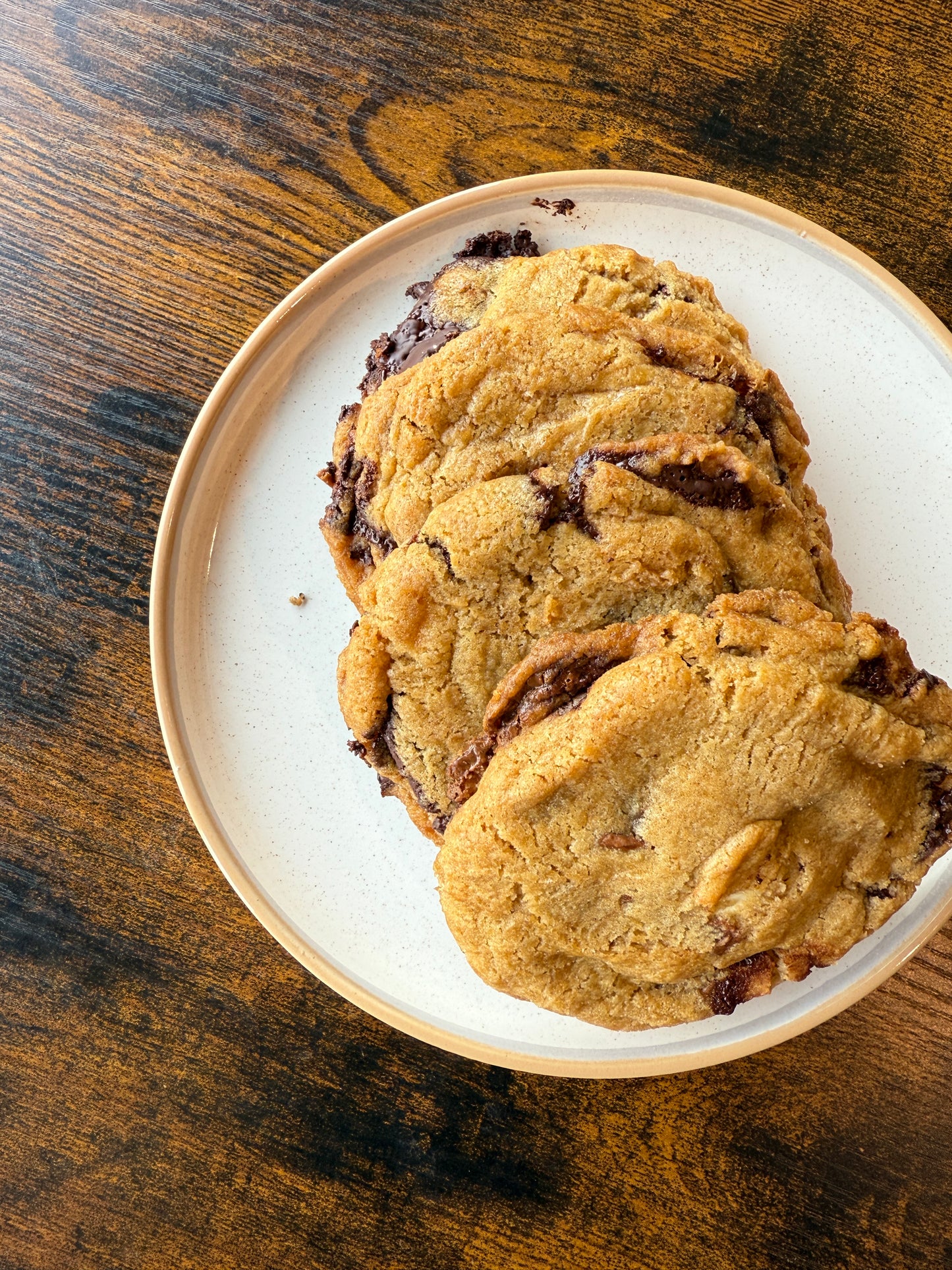 Chocolate Chip Cookie