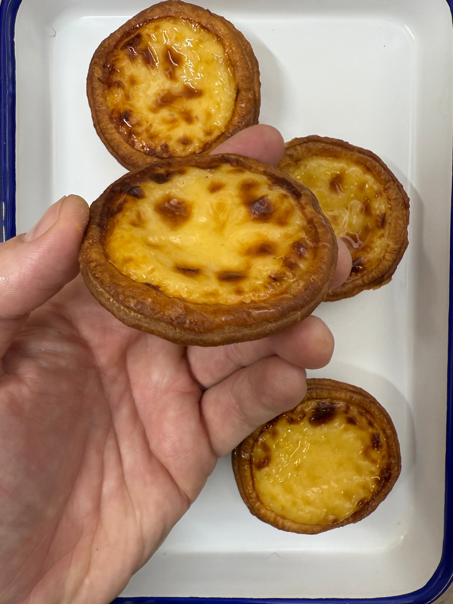 Pastel de nata